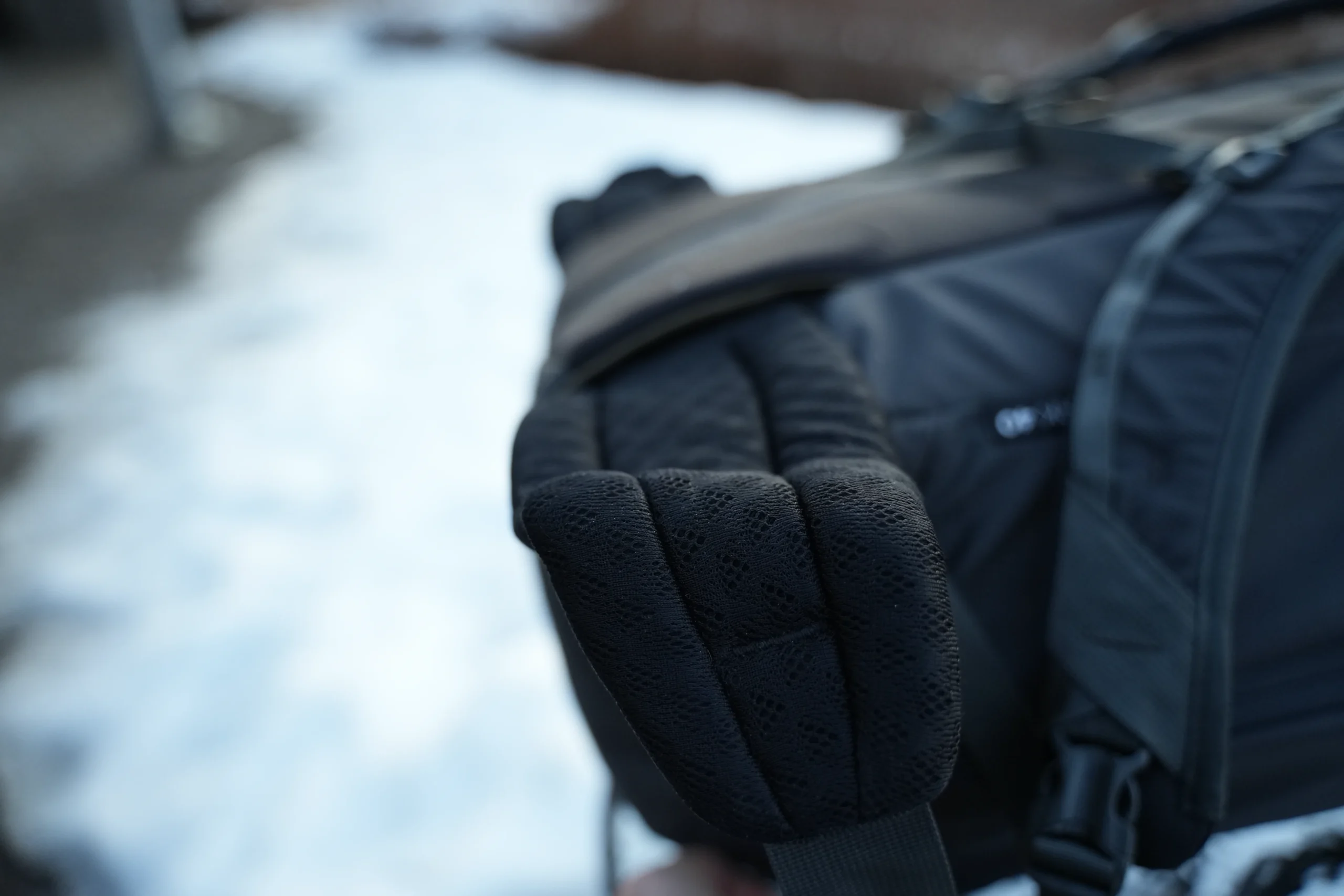 Thule Landmark 40 back panel mesh padding close-up showing ventilation design