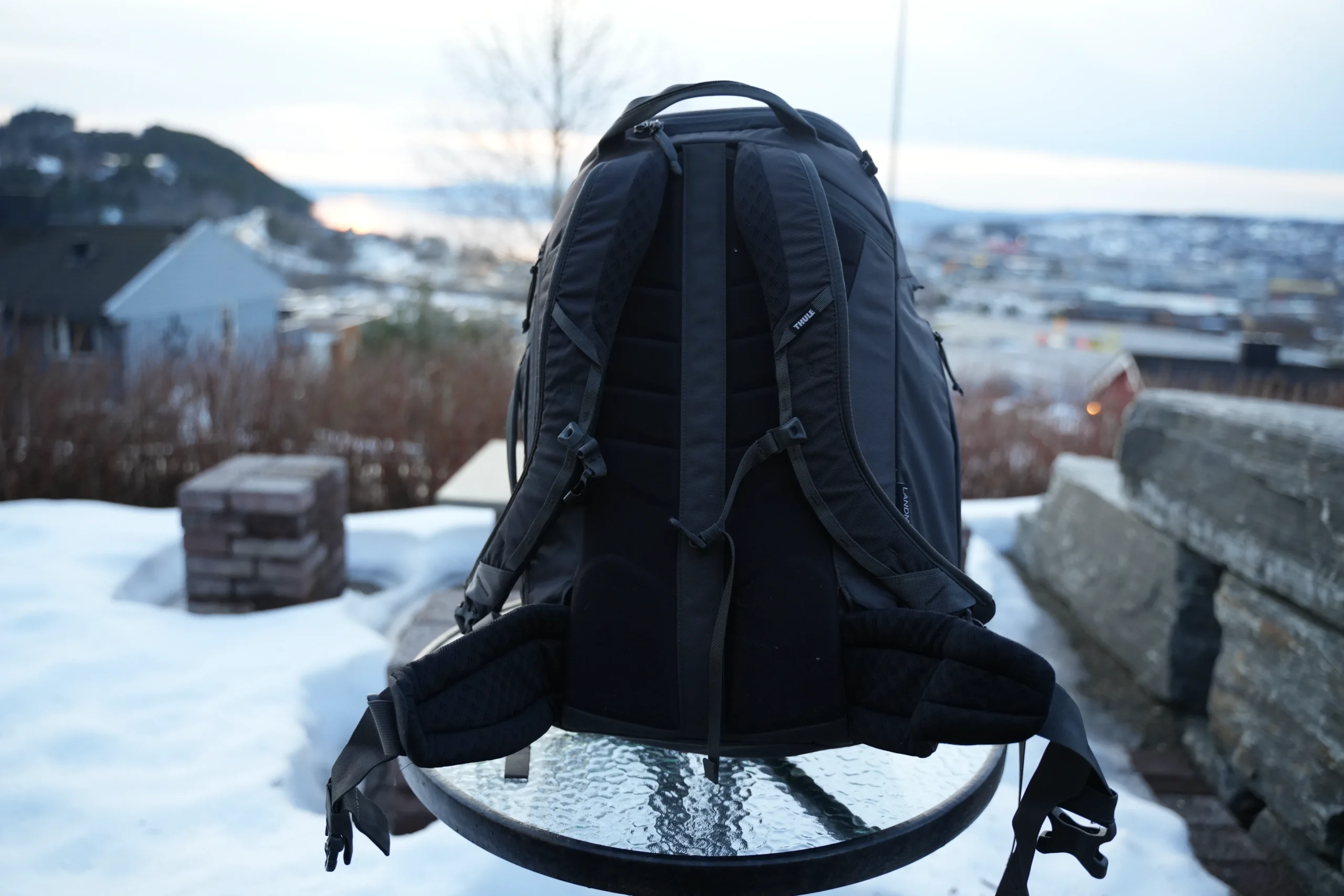 Thule Landmark 40 back panel with harness and hipbelt overview