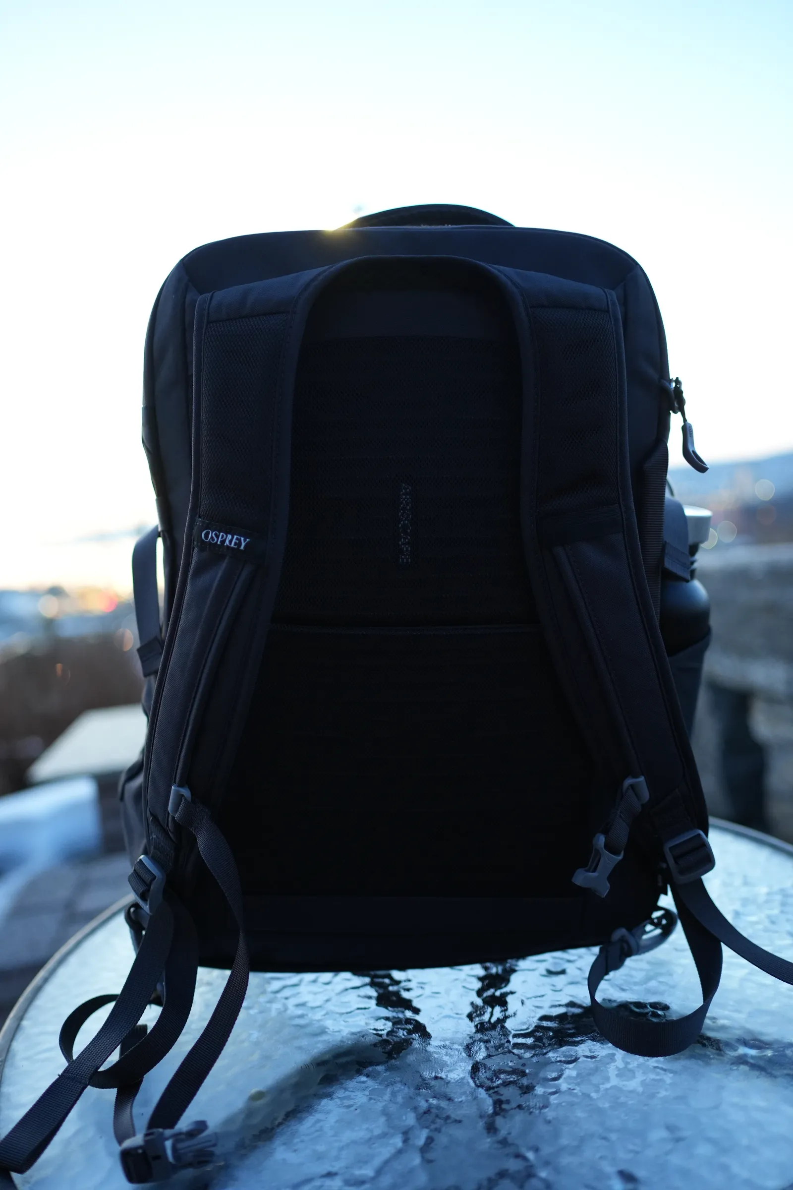 Back panel of the Osprey Daylite 35 showing the AirScape mesh ventilation system and shoulder straps