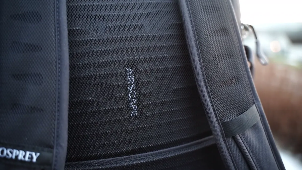 Close-up of the Osprey AirScape ventilated mesh back panel on the Daylite 26+6